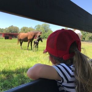 Meet your Posher, Sara